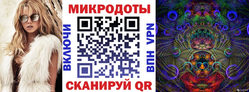 Галлюциногенные грибы Cubensis Купить Богданович